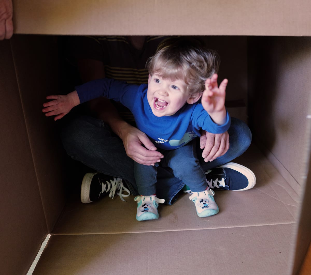 An empty box is an adventure.