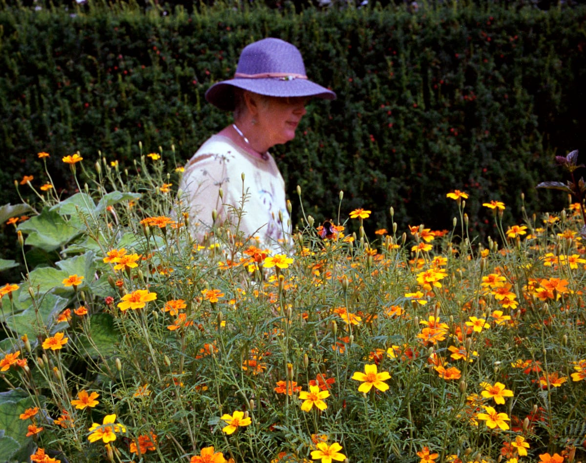 Garden 2
